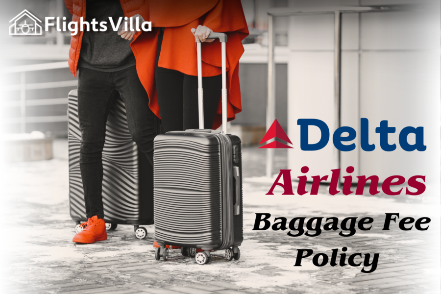 Delta Airlines Baggage Fee Policy 